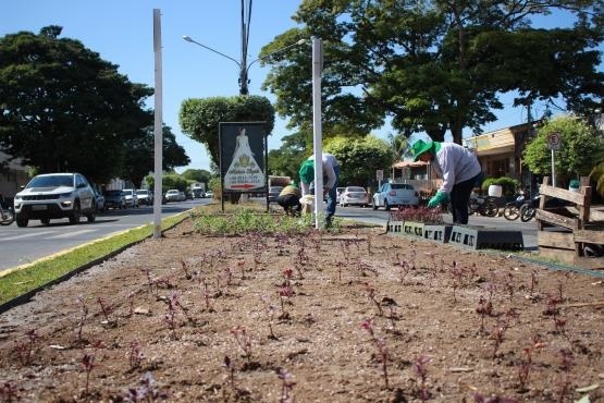 Com foco na qualidade de vida, Prefeitura investe em paisagismo urbano