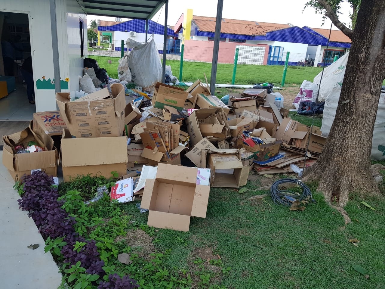 Projeto de estudantes arrecada 3 mil kg de recicláveis
