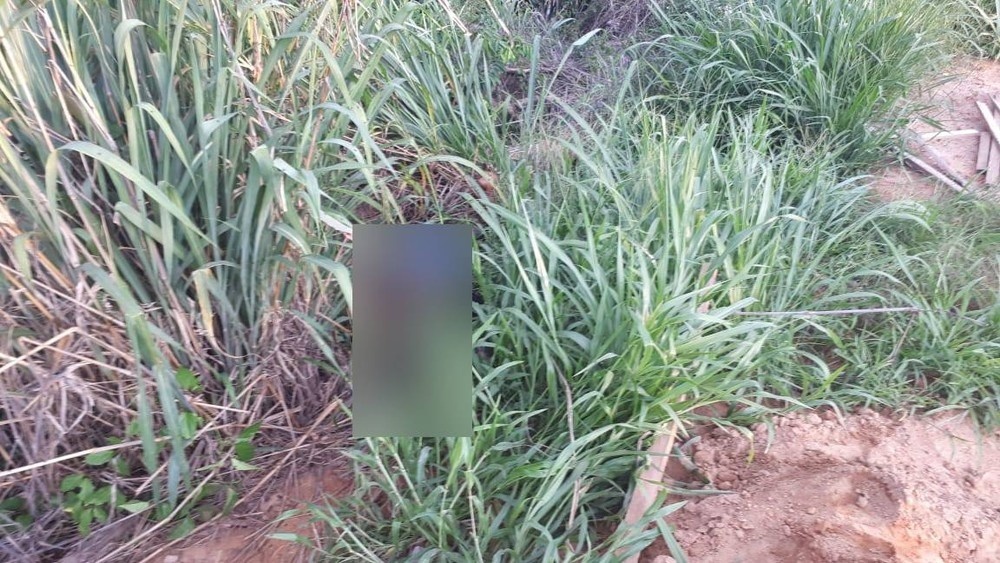 Mulher é morta com facada e corpo é encontrado em mata 3 dias depois
