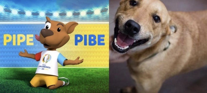 Vira-lata caramelo foi eleito mascote da Copa América 2020