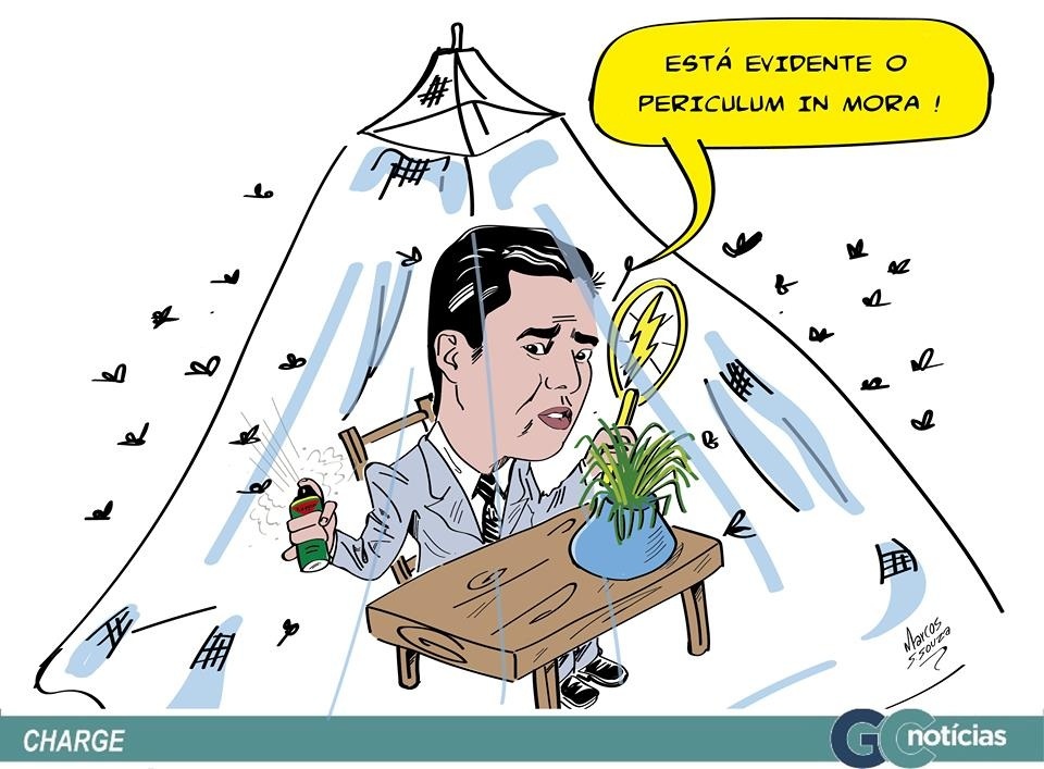 Vê-enxame