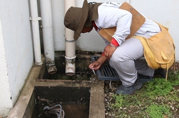 Em seis semanas, dengue aumenta 128% em Mato Grosso