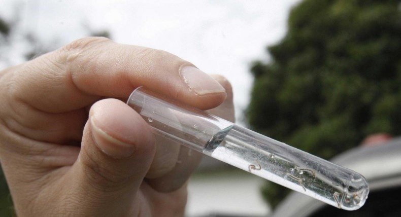 Casos confirmados de dengue começam a reduzir em Sinop