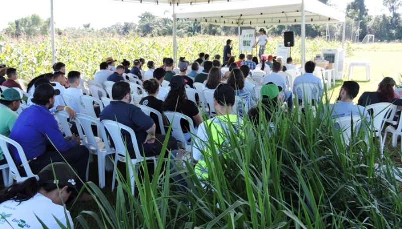 Embrapa abre inscrições para 10º Dia de Campo sobre Sistemas Integrados