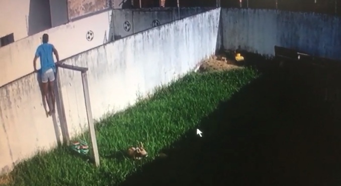 Ladrão invade casas, destrói portão e leva veículo