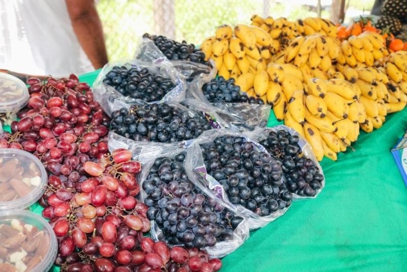 Novo decreto mantém atividades essenciais e o comércio de itens da Agricultura Familiar