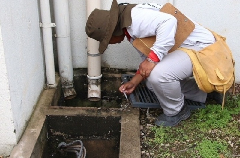 Alerta para a dengue em Sinop permanece