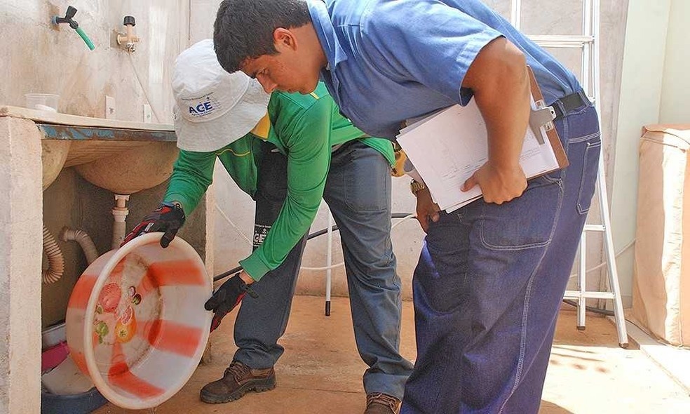 Prefeitura diz que 80% dos focos de dengue estão em residências
