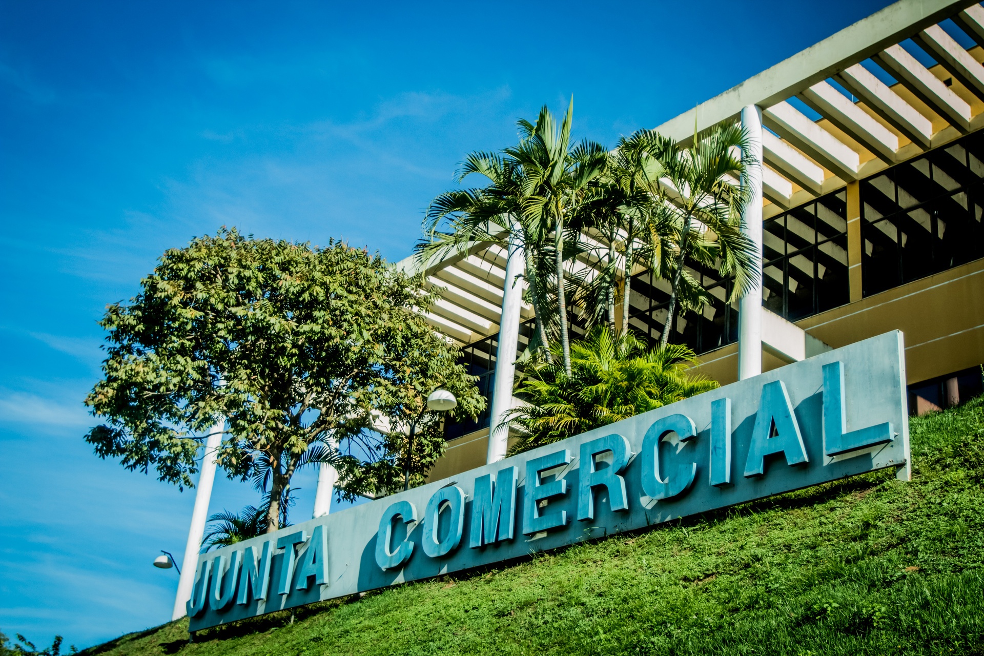 Quase cinco mil novas empresas foram abertas em MT