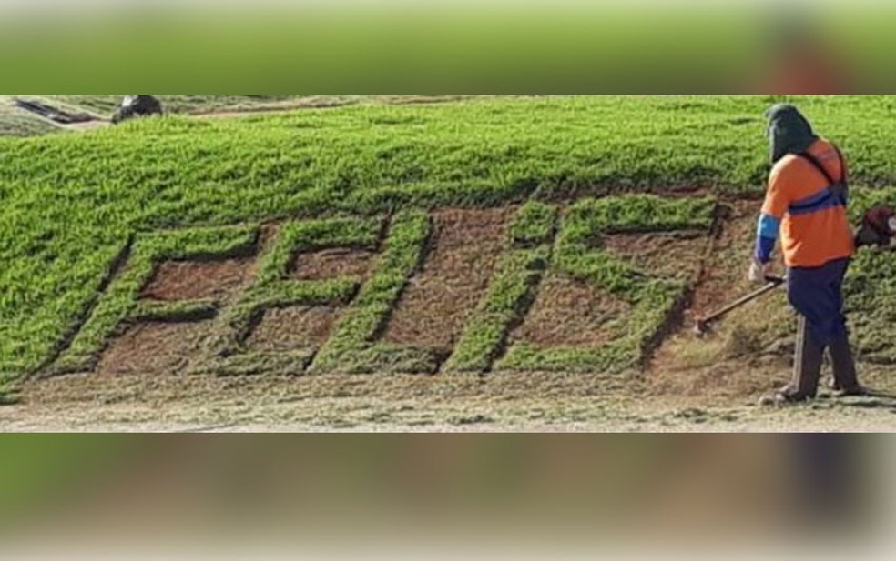 Jardineiro que viralizou na web após escrever 'felis' em canteiro morre em MT