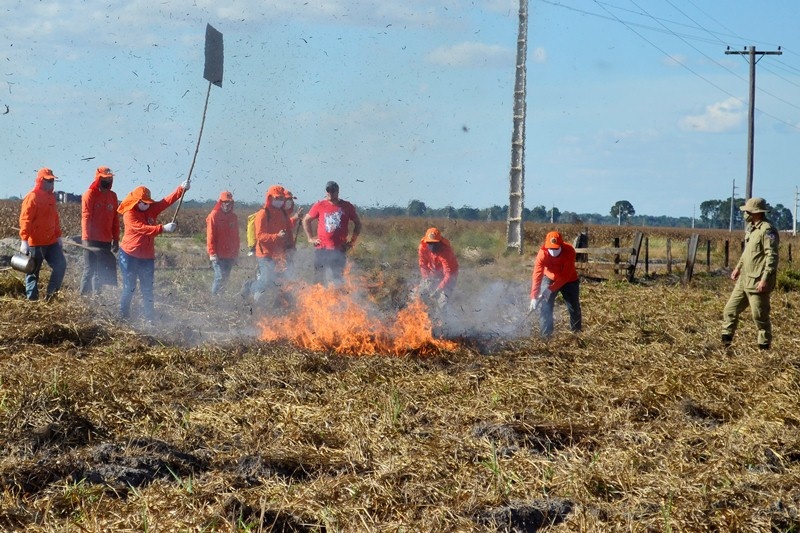 Brigadistas reforçam combate ao fogo