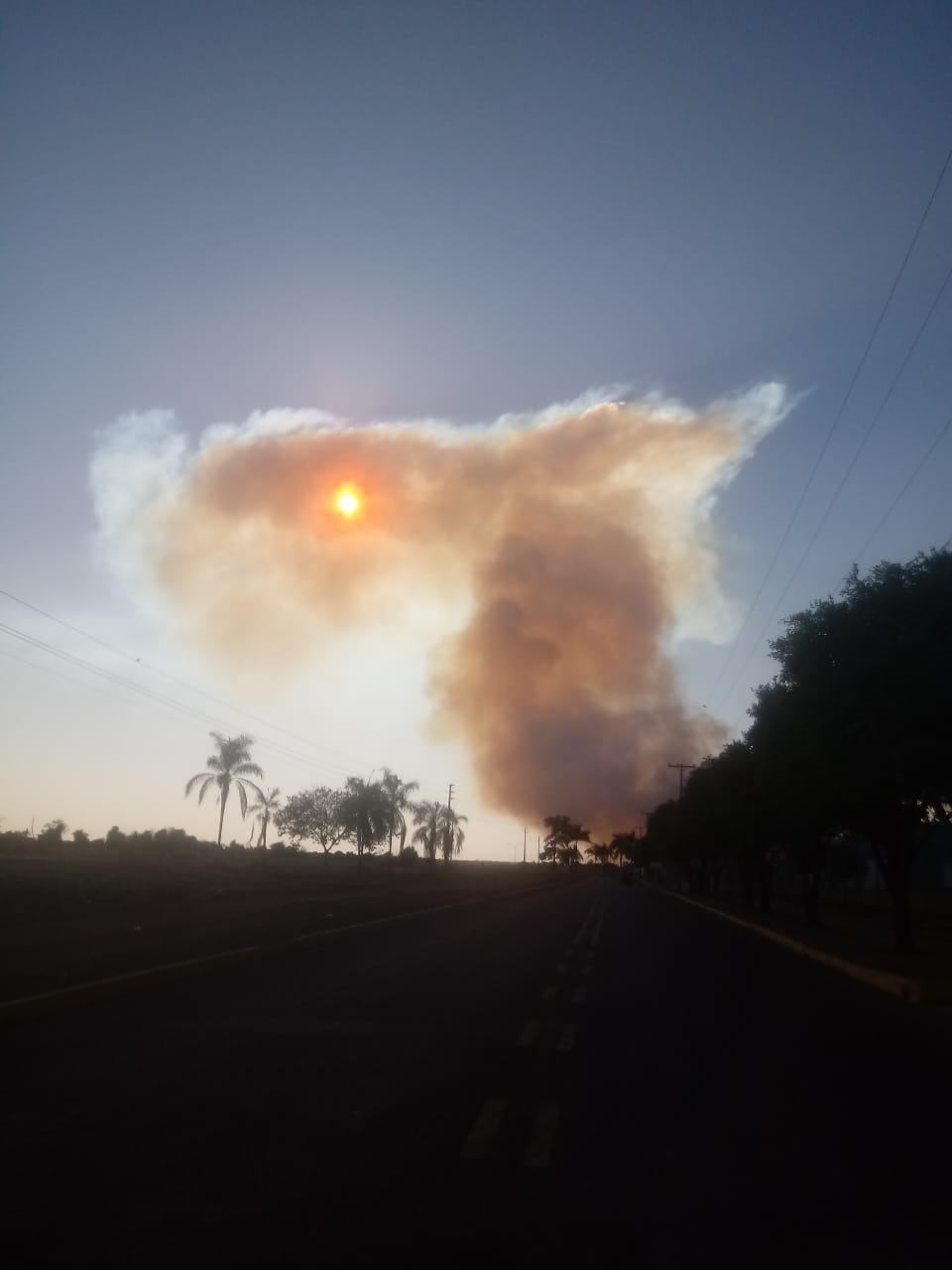 Fogo consome área rural em Sinop