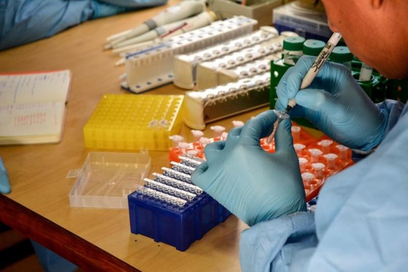 Covid-19: 91% dos casos confirmados estão recuperados
