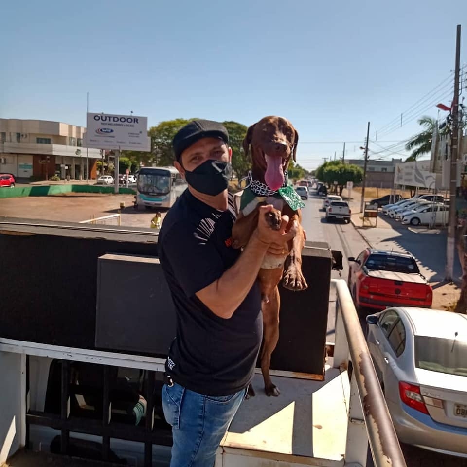 Morador de Sinop reúne esforços para criação de Centro de Zoonoses