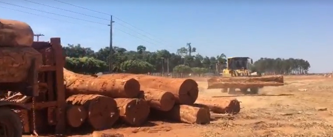 Carreta carregada com toras tomba em rotatória