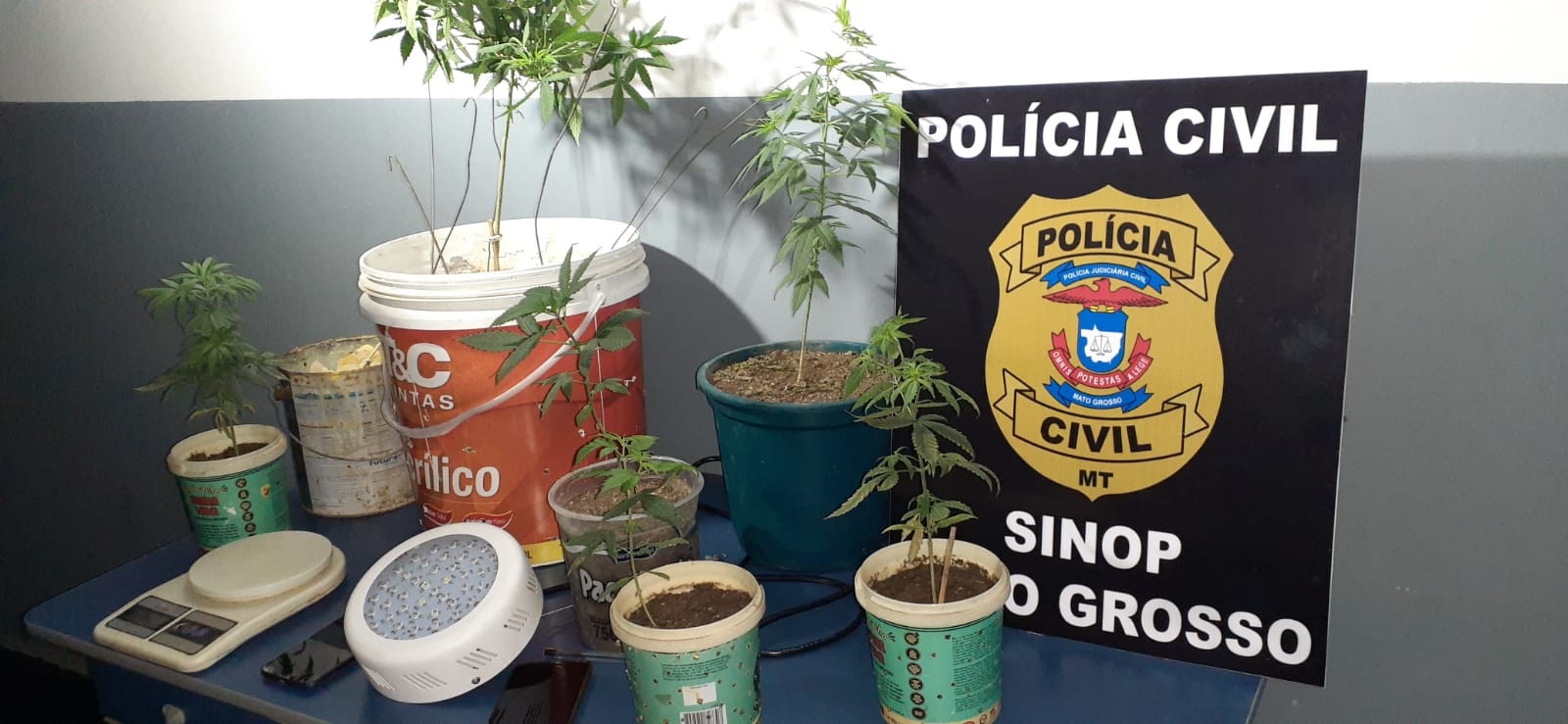 Policiais civis prendem professora universitária suspeita de tráfico de drogas em Sinop