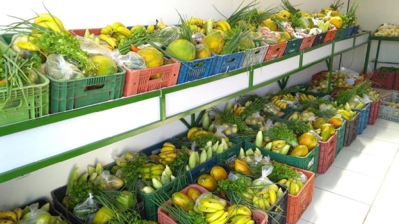 Deputados aprovam lei que obriga compra de produtos de agricultura familiar