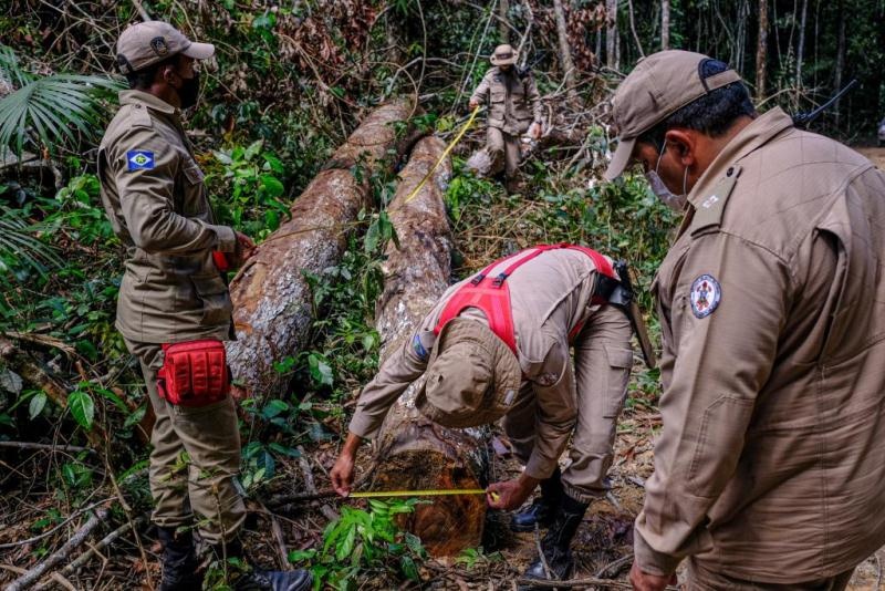 Multas por fogo na floresta ultrapassam R$ 100 milhões