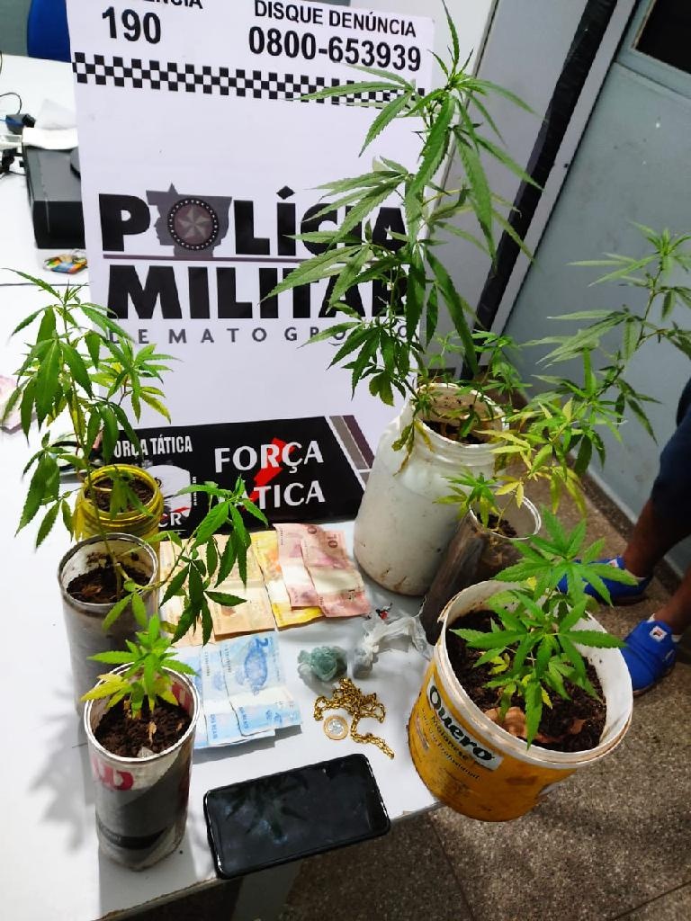 PM prende dupla por direção perigosa e descobre plantação de maconha
