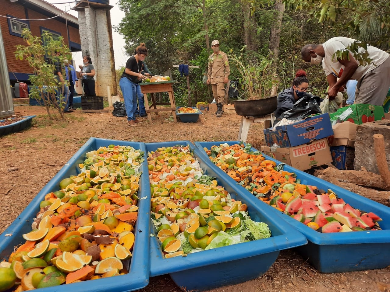 Força-tarefa leva água e comida aos animais no Pantanal