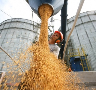 22 cidades do Mato Grosso estão entre as 50 que mais produzem no país