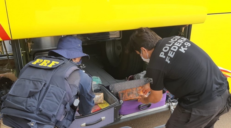 PRF e PF apreendem mais de 22 kg de maconha