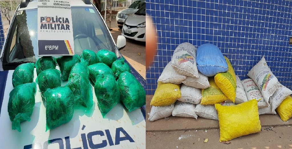 Mulher é presa transportando folhas de coca em ônibus na BR-070