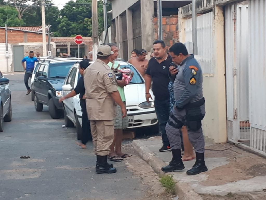 Pitbulls atacam e matam cachorros em Cuiabá