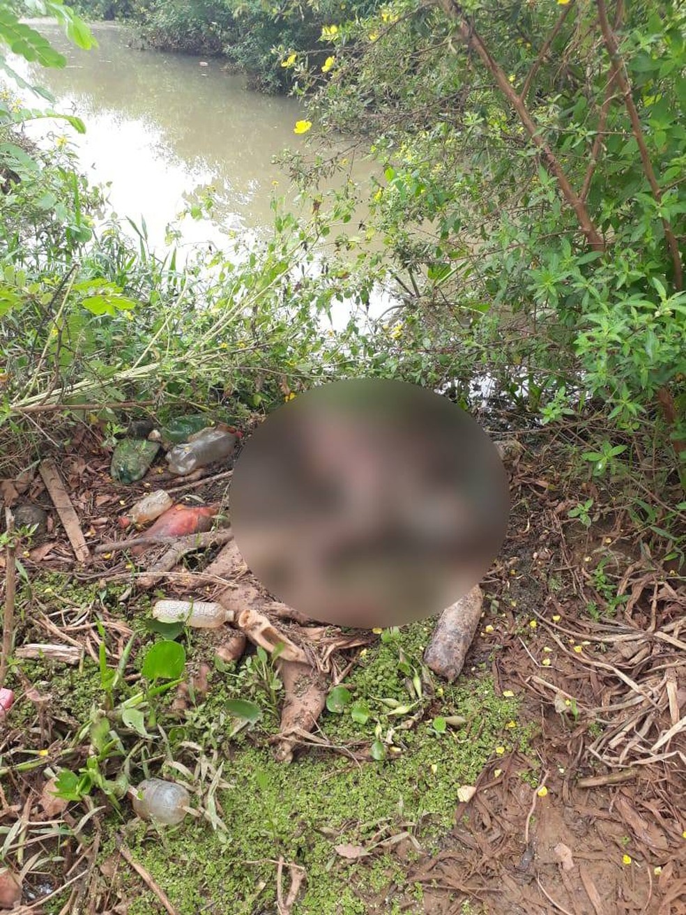 Suspeito de matar casal e esquartejar outro homem é preso em MT