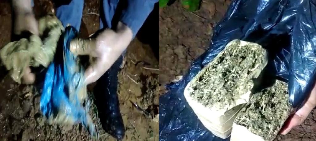 Tabletes e porções de maconha são apreendidas pela PM