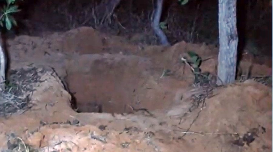 Homem é preso após matar e enterrar corpo de ex-esposa