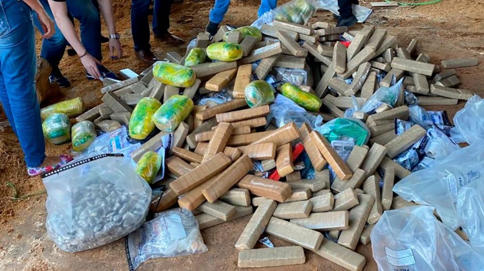 Polícia incinera 450 quilos de drogas aprendidas neste ano, em Sinop