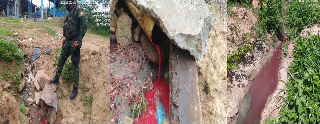 Batalhão Ambiental identifica crime ambiental em área de abate de frigorífico; embargo e multa de R$ 500 mil
