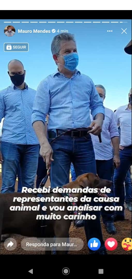 Perdigueiro de político