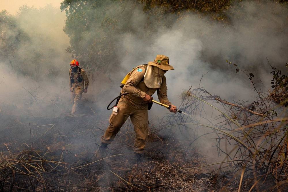 MP quer parceria com a Sema para evitar queimadas no Pantanal