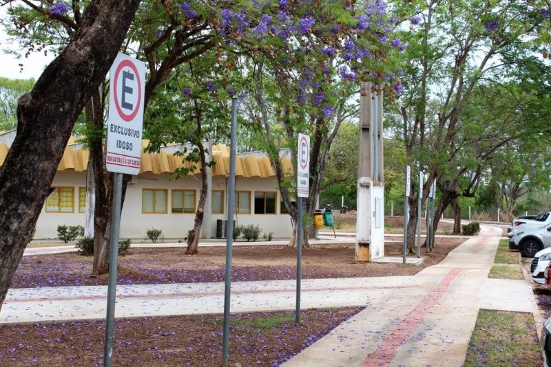 Detran-MT investe em tecnologia para modernizar e desburocratizar serviços