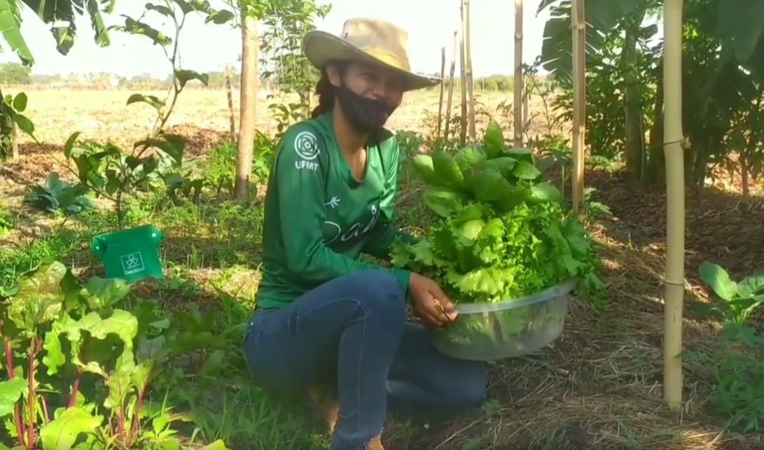 Acadêmicos produzem meia tonelada de alimentos no quintal da UFMT