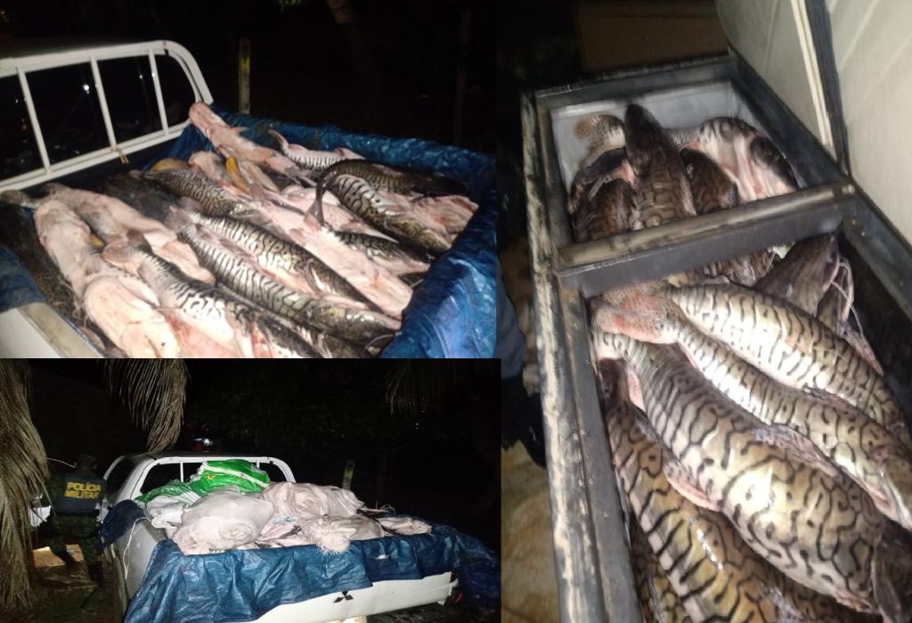 Batalhão Ambiental apreende 450 quilos de pescado em Rondonópolis