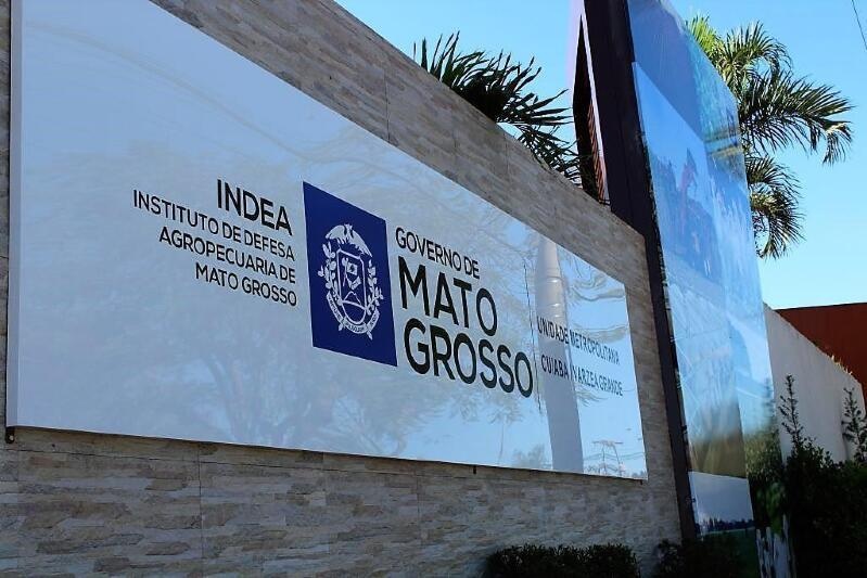 Mulher invade Instituto e joga cueca do ex em servidora