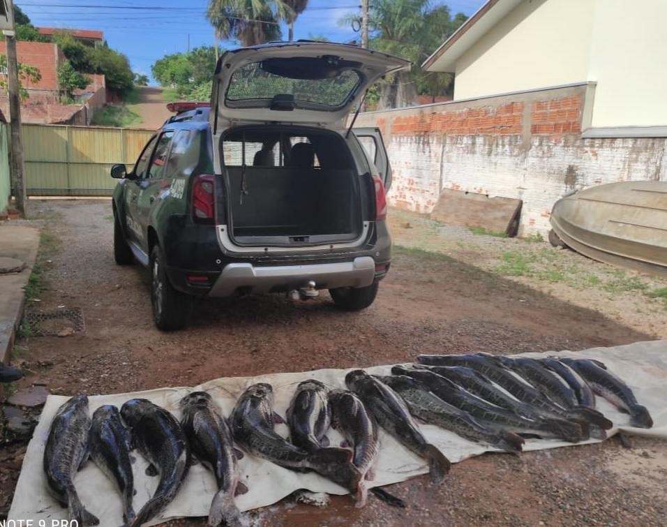 Batalhão Ambiental apreende pescado em Porto Estrela