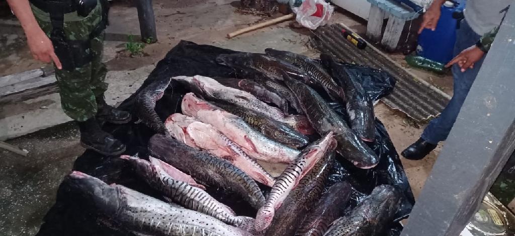Batalhão Ambiental apreende 200 quilos de pescado em Jangada
