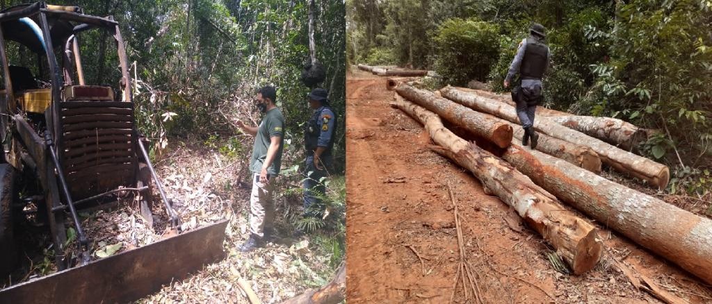 Trabalho integrado descobre área com exploração ilegal de madeira em Feliz Natal