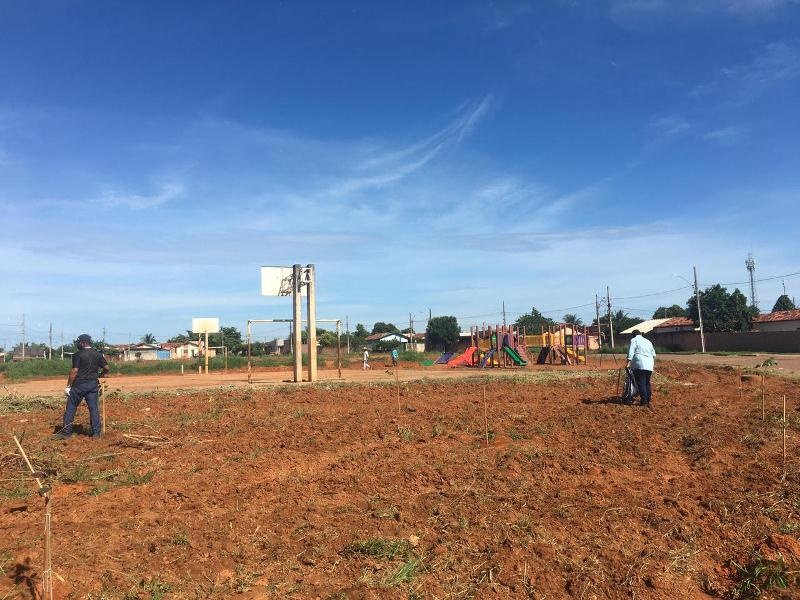 Prefeitura faz plantio de mais de 1 mil mudas de árvores nativas