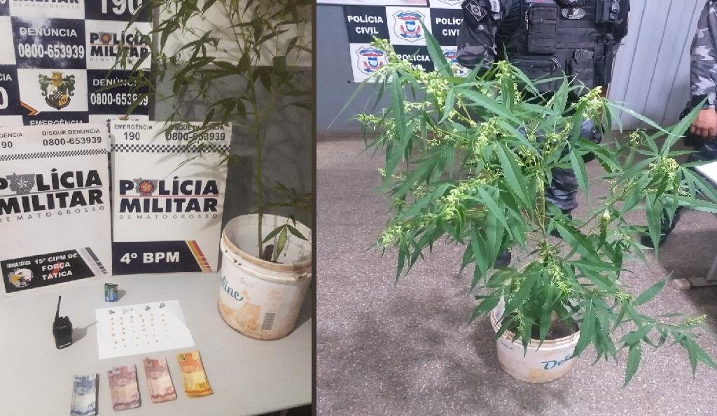 Homem e mulher são pegos com droga e pé de maconha em Várzea Grande