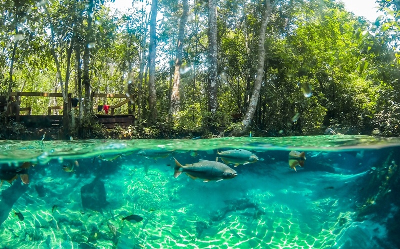 Atrativos turísticos de Mato Grosso estão abertos aos turistas
