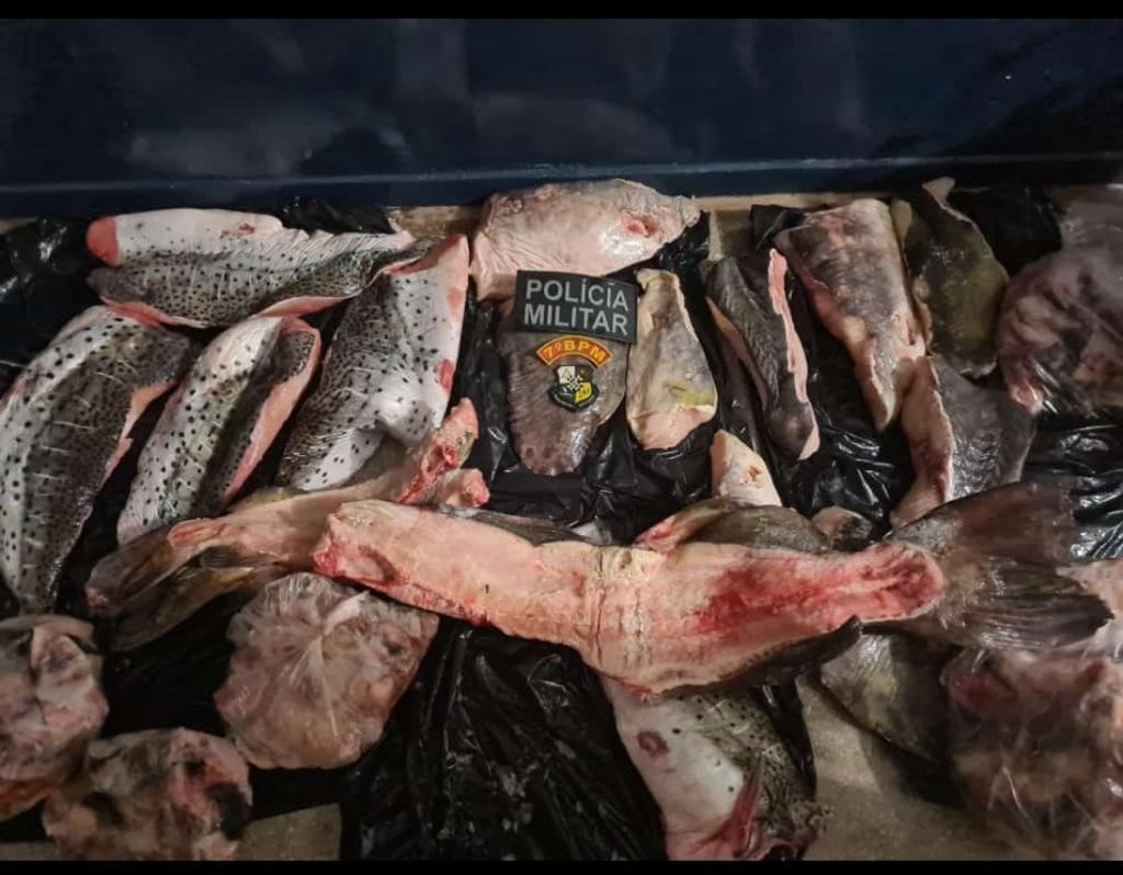 Pai e filho são pegos com 70 quilos de pescado irregular