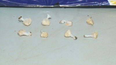 Menor é apreendido com porções de drogas em Sinop