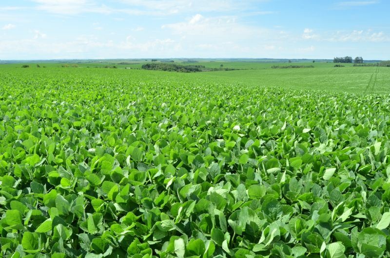 Proposta pode reduzir em 35% área agriculturável