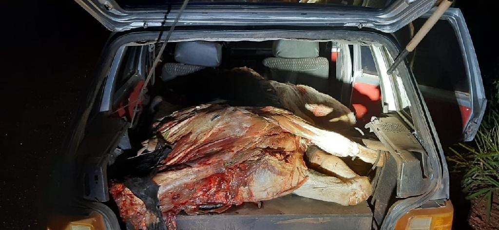 Força Tática encontra carro abandonado com vaca abatida
