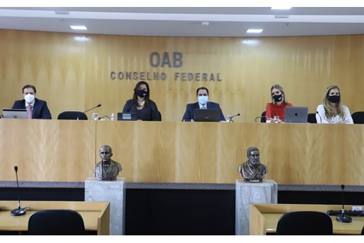 Pleno decide que OAB irá ao STF contra execução imediata de prisões iguais ou superiores a 15 anos fixadas pelo Tribunal do Júri